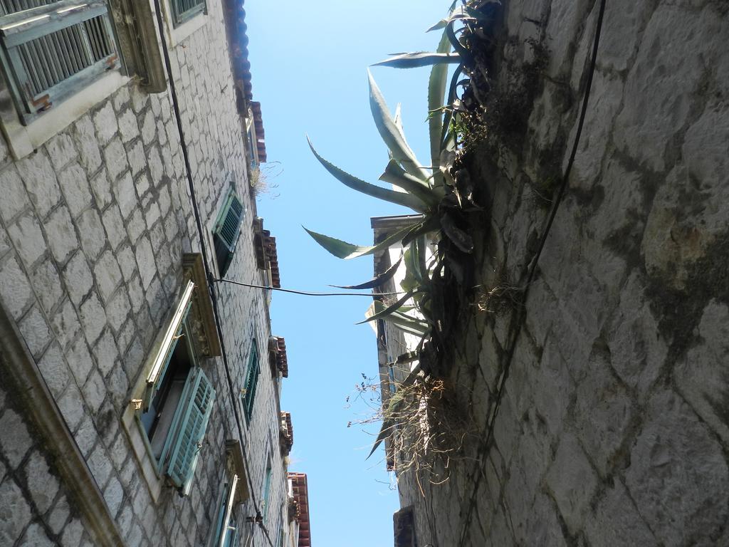 Apartment Nika Split Bagian luar foto
